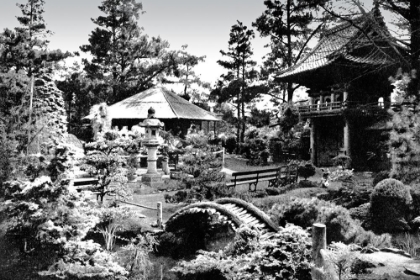 Picture of ORIENTAL TEA GARDEN, SAN FRANCISCO, CA