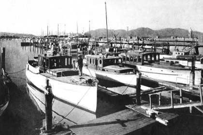 Picture of YACHT HARBOR, SAN FRANCISCO, CA