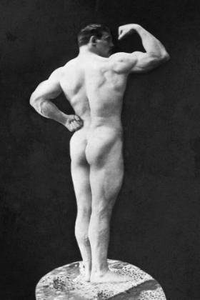 Picture of STATUESQUE BACK AND ARM CURL
