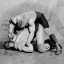 Picture of WRIST ROLL: RUSSIAN WRESTLERS