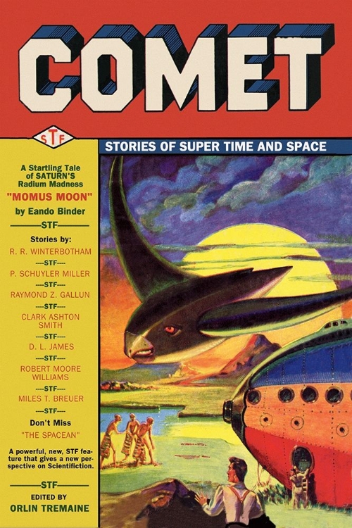 Picture of COMET: BIRD SPACESHIP