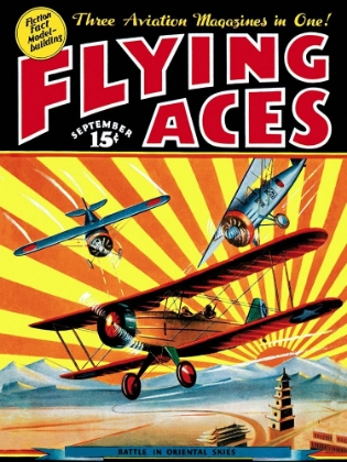 Picture of FLYING ACES OVER THE RISING SUN