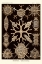 Picture of HAECKEL NATURE ILLUSTRATIONS: SPUMELLARIA - SEPIA TINT