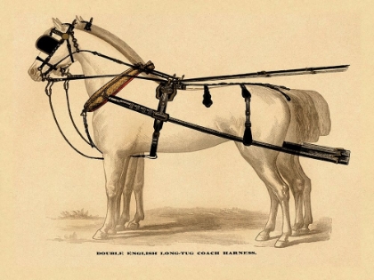 Picture of SADDLES AND TACK: DOUBLE ENGLISH LONG-TUG COACH,SPORT,COMPETITION,SPORTS,PLAY,WIN,SCORE HARNESS