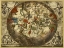 Picture of MAPS OF THE HEAVENS: HAEMISPHAERIUM STELLATUM AUSTRALE AEQUALI