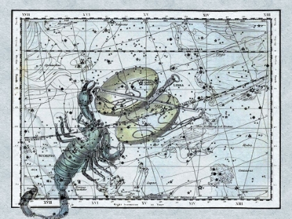 Picture of MAPS OF THE HEAVENS: LIBRA - THE SCALES AND THE SCORPION