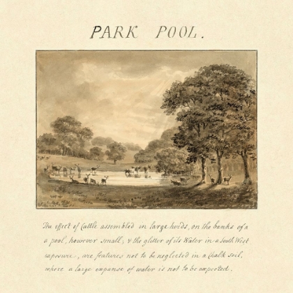 Picture of PARK POOL, 1813
