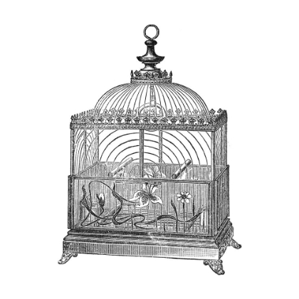 Picture of ETCHINGS: BIRDCAGE - DOME TOP, FLORAL BASE, FILIGREE DETAIL.