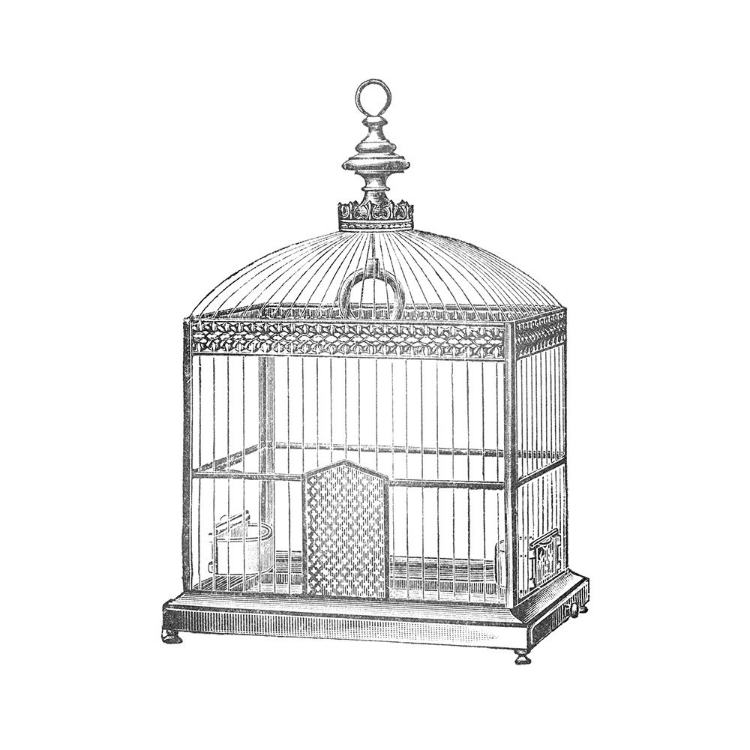 Picture of ETCHINGS: BIRDCAGE - ARCHED TOP, FILIGREE DETAIL.