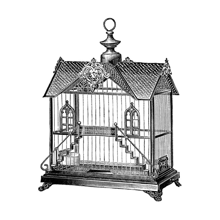 Picture of ETCHINGS: BIRDCAGE - VICTORIAN HOUSE WITH STEPS.