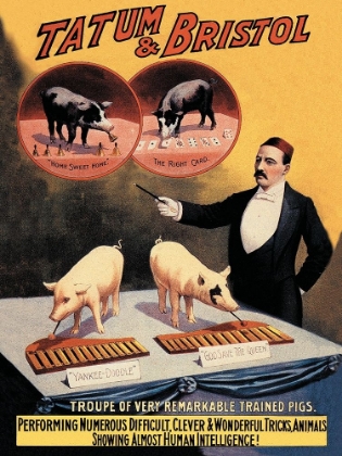 Picture of PIGS AND PORK: TATUM AND BRISTOLS TROUPE OF TRAINED PIGS