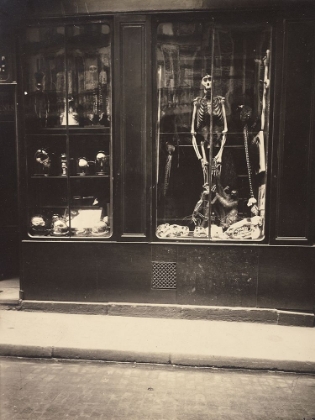 Picture of ZOOLOGISTS SHOP