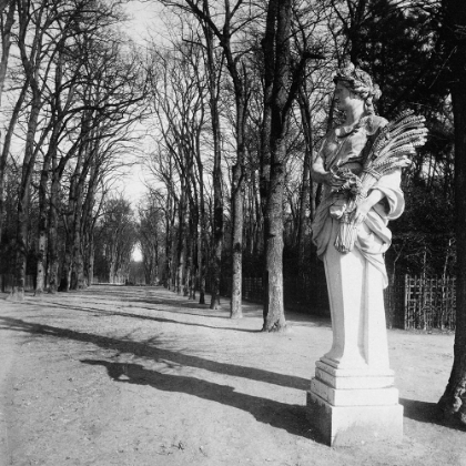 Picture of FRANCE, 1920 - THE PARK, VERSAILLES