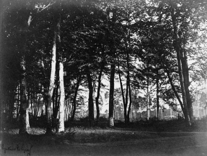 Picture of FONTAINEBLEAU, 1849 - STUDY OF TREES AND PATHWAYS