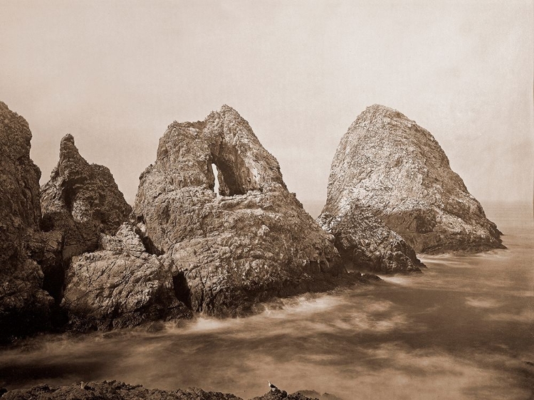 Picture of SUGARLOAF ISLANDS AT FISHERMANS BAY, FARALLON ISLANDS, SAN FRANCISCO, CALIFORNIA, 1869