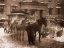 Picture of  THE TERMINAL, NEW YORK CITY, 1893