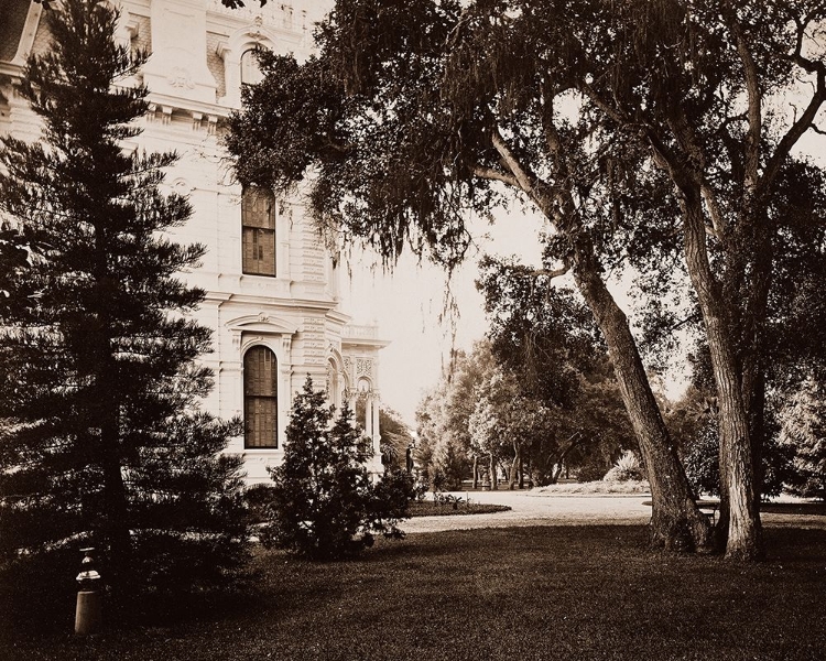 Picture of THURLOW LODGE, MENLO PARK, CALIFORNIA - LAWN AND HOUSE, 1874