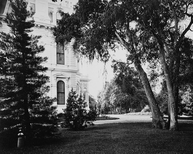 Picture of THURLOW LODGE - LAWN AND HOUSE. FROM BARRON CLUSTER. BLACK AND WHITE.
