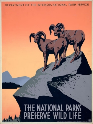 Picture of THE NATIONAL PARKS PRESERVE WILD LIFE, CA. 1936-1939