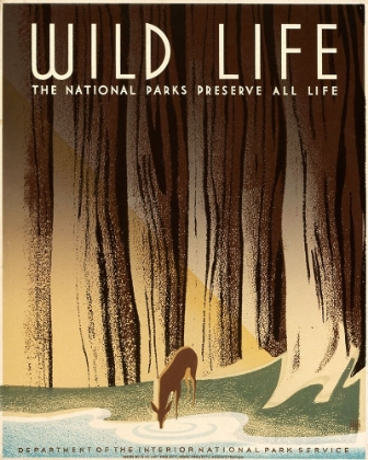 Picture of WILD LIFE; THE NATIONAL PARKS PRESERVE ALL LIFE, CA. 1936-1940
