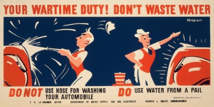Picture of DO NOT USE HOSE FOR WASHING YOUR AUTOMOBILE