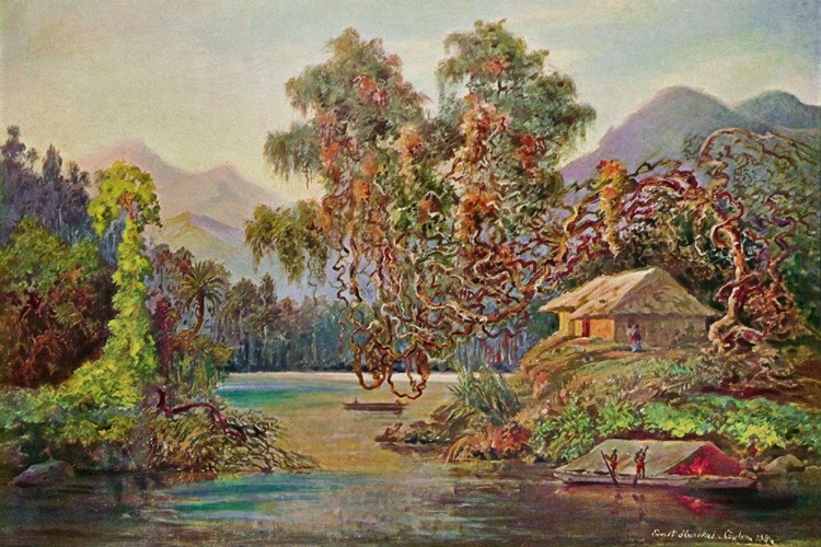 Picture of ARALIEN MIT LIANEN AM SCHWARZEN FLUSSE (CEYLON)