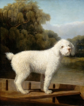 Picture of WHITE POODLE IN A PUNT, C. 1780