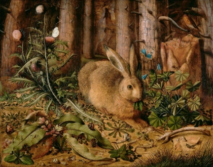 Picture of A HARE IN THE FOREST