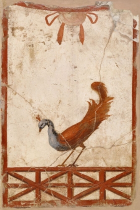 Picture of WALL FRAGMENT WITH A PEACOCK