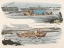 Picture of FOWLING WORKING UP TO A WAKE AND  PANTING, 1817