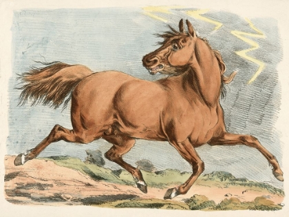 Picture of BROWN HORSE RUNNING, 1817