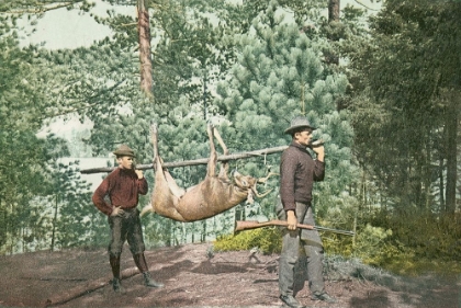 Picture of HUNTING, ADIRONDACKS, N.Y., 1898