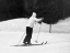 Picture of WINTER SPORTS - HANOVER, NEW HAMPSHIRE, 1936