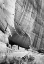 Picture of WHITE HOUSE RUIN IN CANYON DE CHELLY NATIONAL MONUMENT, ARIZONA, 1941