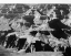 Picture of GRAND CANYON NATIONAL PARK - NATIONAL PARKS AND MONUMENTS, ARIZONA, 1940
