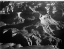 Picture of GRAND CANYON NATIONAL PARK, ARIZONA, 1941