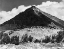 Picture of PINCHOT PASS, MT. WYNNE, KINGS RIVER CANYON,  PROPOSED AS A NATIONAL PARK, CALIFORNIA, 1936