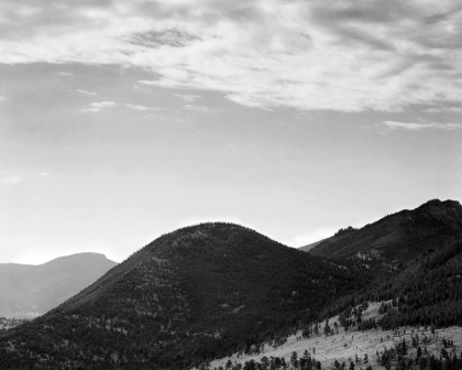 Picture of VIEW OF HILL WITH TREES, CLOUDED SKY, IN ROCKY MOUNTAIN NATIONAL PARK, COLORADO, CA. 1941-1942