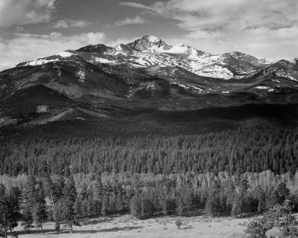 Picture of TREES IN FOREGROUND, SNOW COVERED MOUNTAIN IN BACKGROUND, IN ROCKY MOUNTAIN NATIONAL PARK, COLORADO,