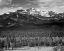 Picture of TREES IN FOREGROUND, SNOW COVERED MOUNTAIN IN BACKGROUND, IN ROCKY MOUNTAIN NATIONAL PARK, COLORADO,