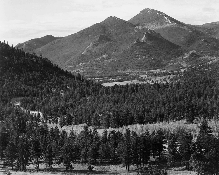 Picture of VIEW WITH TREES IN FOREGROUND, BARREN MOUNTAINS IN BACKGROUND,  IN ROCKY MOUNTAIN NATIONAL PARK, COL