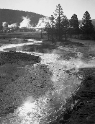 Picture of STREAM WINDING BACK TOWARD GEYSER, CENTRAL GEYSER BASIN, YELLOWSTONE NATIONAL PARK, WYOMING, CA. 194