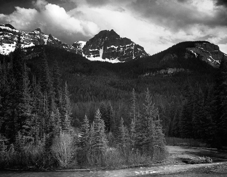 Picture of VIEW OF STREAMSIDE TREES AND SNOW ON MOUNTAINS - NORTHEAST PORTION, YELLOWSTONE NATIONAL PARK, WYOMI