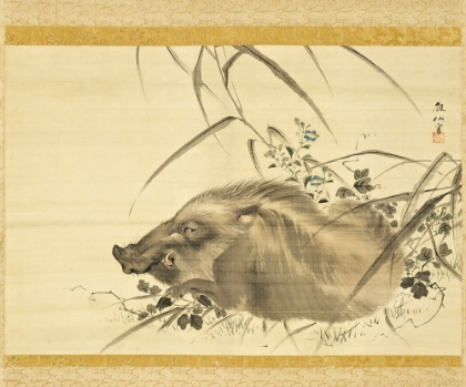 Picture of WILD BOAR AMIDST AUTUMN FLOWERS AND GRASSES