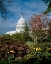 Picture of U.S. CAPITOL, WASHINGTON, D.C. NUMBER 3