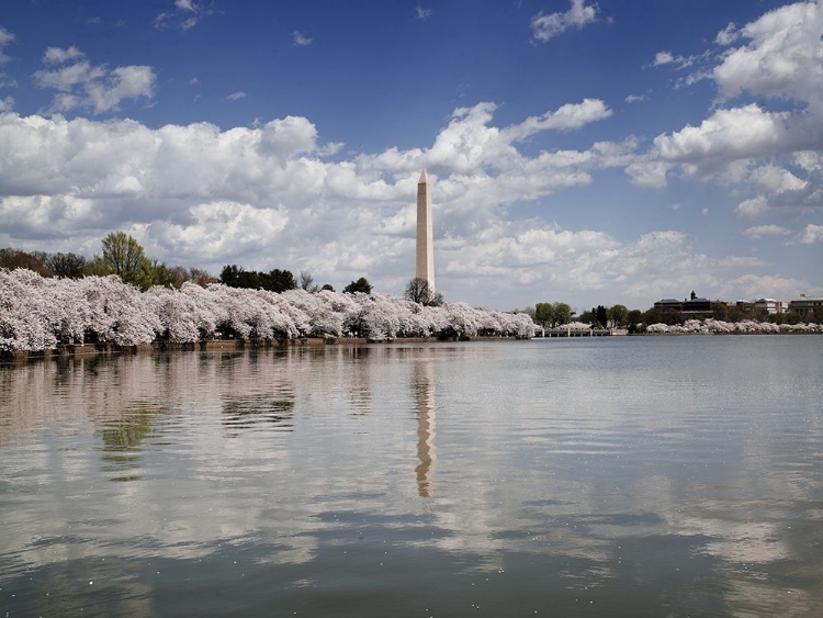 Picture of WASHINGTON MONUMENT, WASHINGTON, D.C.