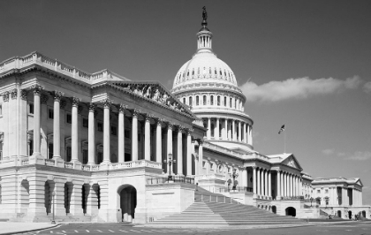 Picture of U.S. CAPITOL, WASHINGTON, D.C. - BLACK AND WHITE VARIANT