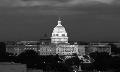 Picture of U.S. CAPITOL, WASHINGTON, D.C. NUMBER 2 - BLACK AND WHITE VARIANT