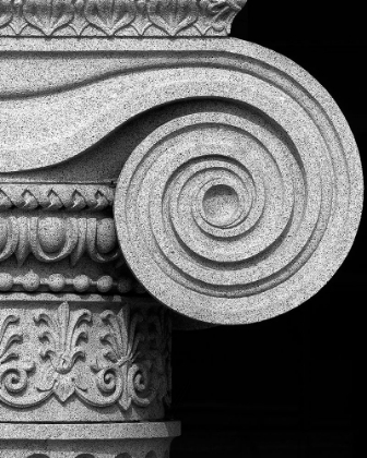 Picture of COLUMN DETAIL, U.S. TREASURY BUILDING, WASHINGTON, D.C. - BLACK AND WHITE VARIANT