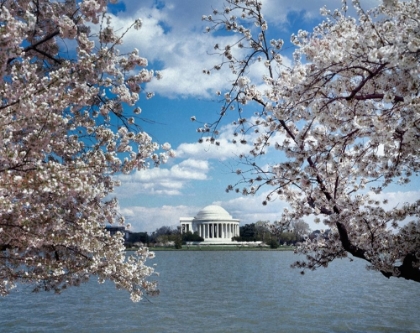 Picture of JEFFERSON MEMORIAL WITH CHERRY BLOSSOMS, WASHINGTON, D.C. - VINTAGE STYLE PHOTO TINT VARIANT